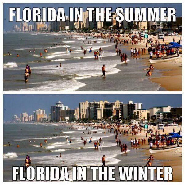 The 10 Best Florida Winter Memes I Love South Florida