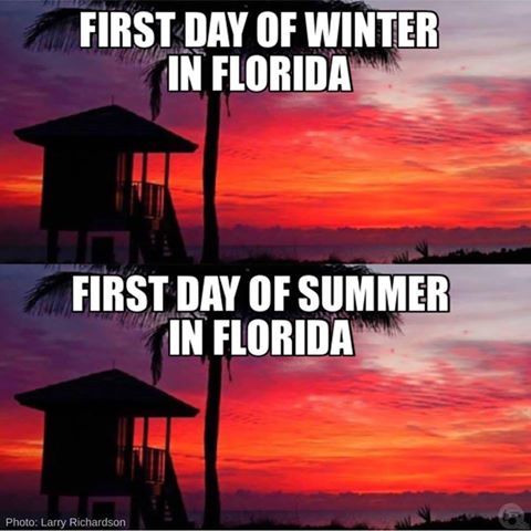 The 10 Best Florida Winter Memes: Volume II - I Love South Florida