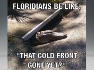 Gator-Cold-Front-Meme