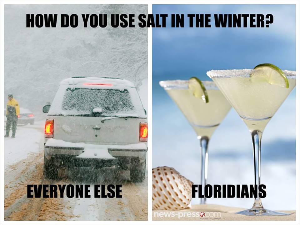 The 10 Best Florida Winter Memes I Love South Florida
