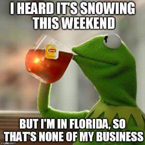kermit-thats-none-of-my-business-florida-meme