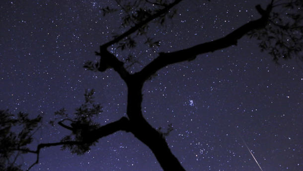 perseid-meteor-shower-2013-south-florida