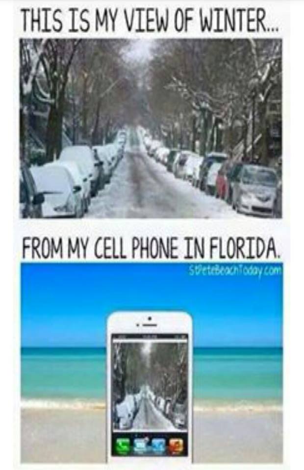 view-of-winter-from-cell-phone-florida-meme